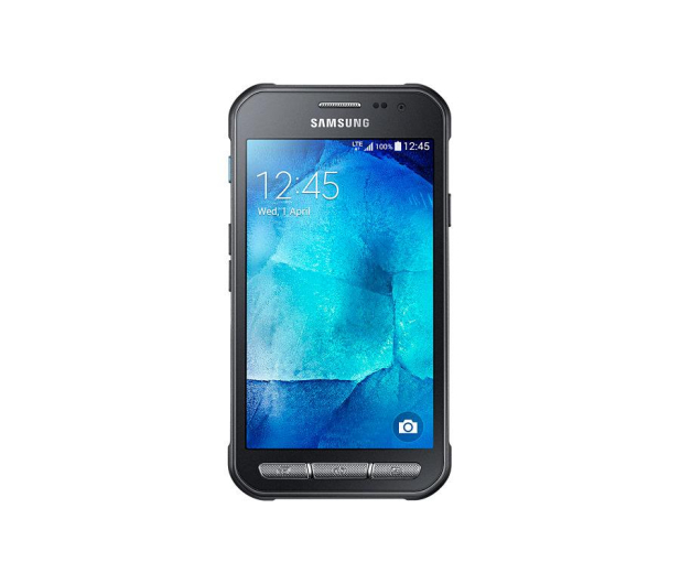 Samsung Galaxy Xcover 3 G388F srebrny - 239347 - zdjęcie
